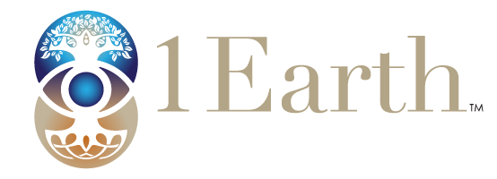 1Earth Institute