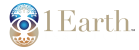 1Earth-Institute